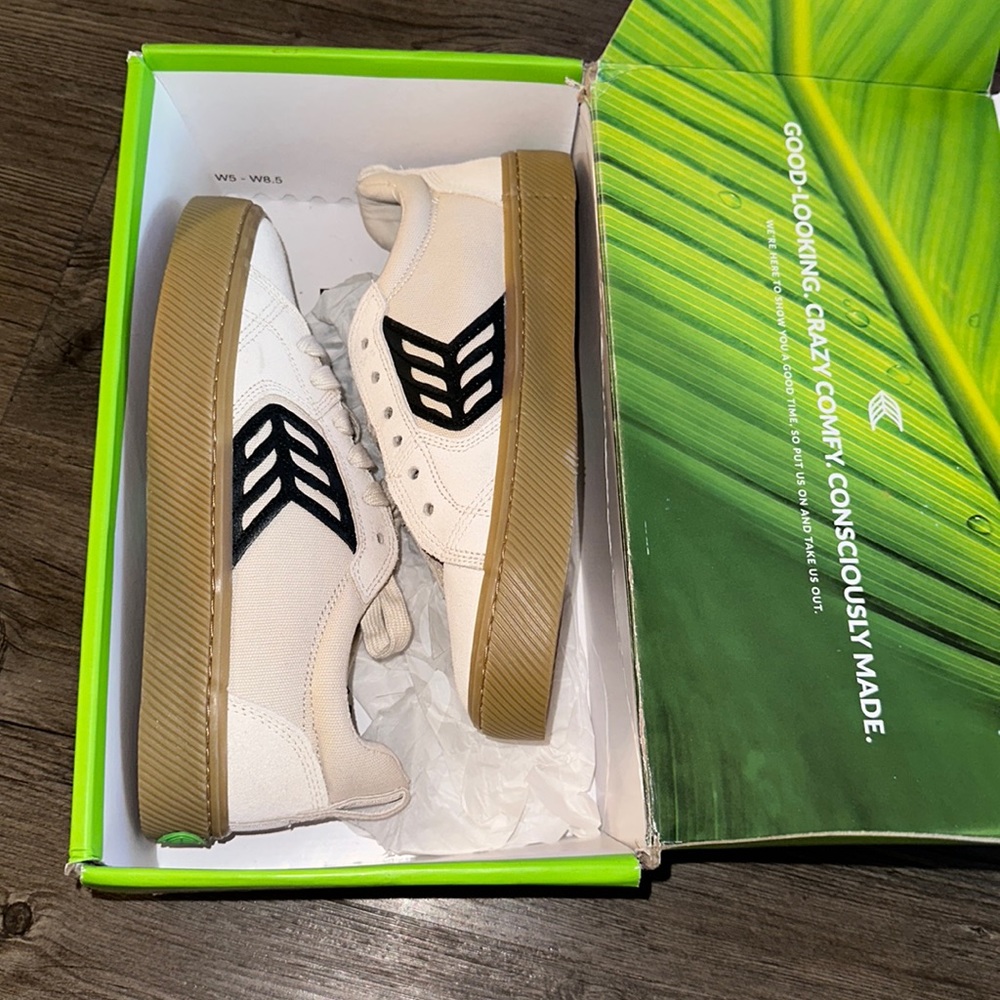 Cariuma skate shoes